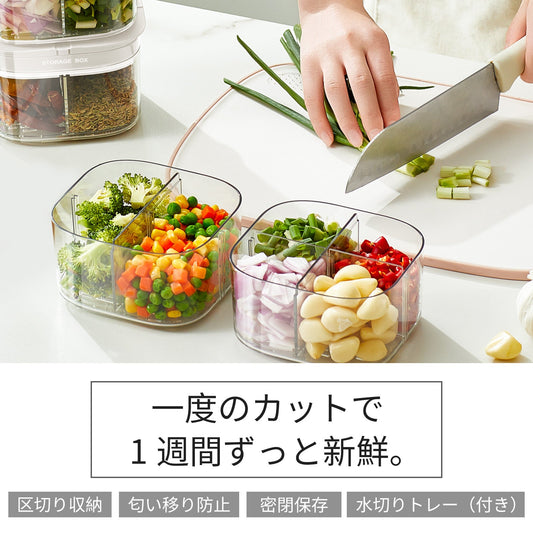 4分割 調味料保存容器|水切りトレー付き|PP・ABS製 ホワイト