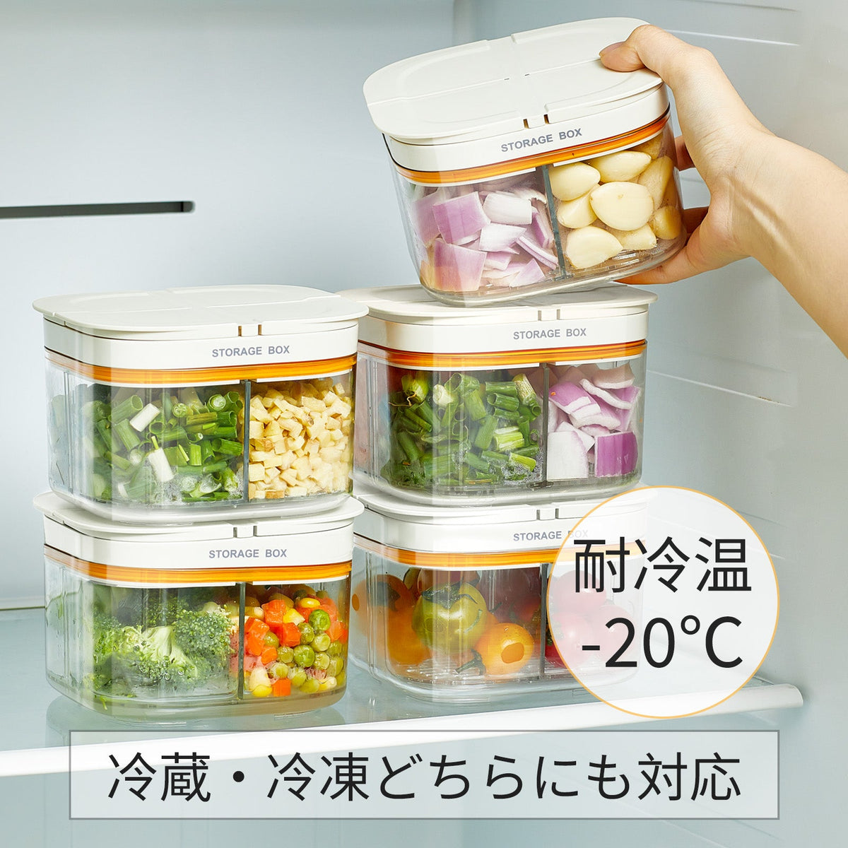 4分割 調味料保存容器｜水切りトレー付き｜PP・ABS製 ホワイト